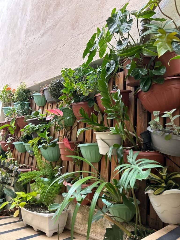 limpeza de pele governador valadares